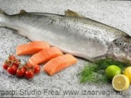 salmon2